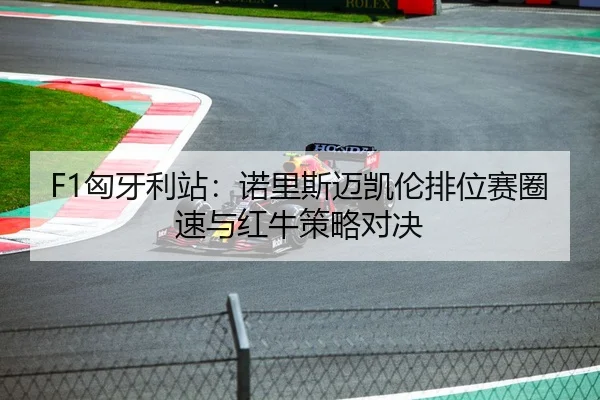 F1匈牙利站：诺里斯迈凯伦排位赛圈速与红牛策略对决