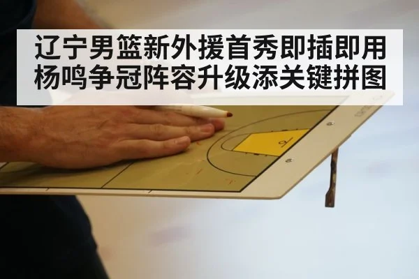 辽宁男篮新外援首秀即插即用 杨鸣争冠阵容升级添关键拼图