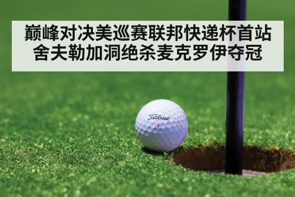 巅峰对决美巡赛联邦快递杯首站舍夫勒加洞绝杀麦克罗伊夺冠
